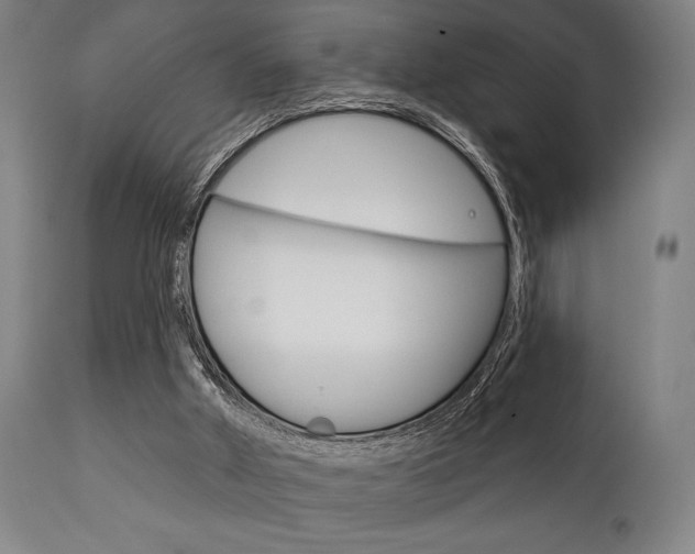 X0000111820010200907231036