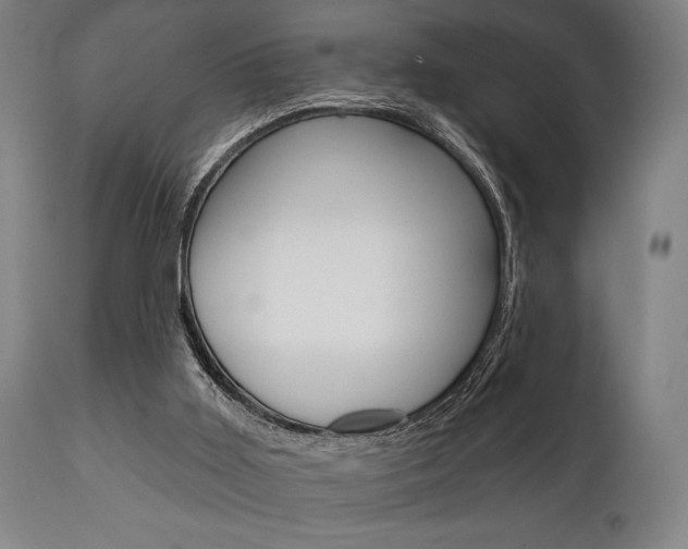 X0000111820011200907231036