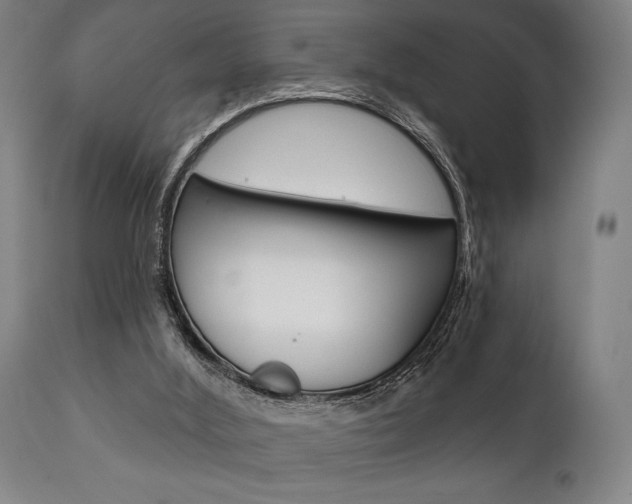 X0000111820012200907231036