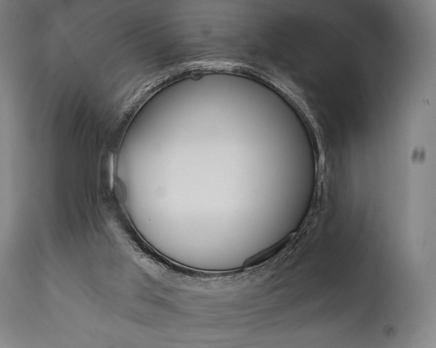 X0000111820013200907231036