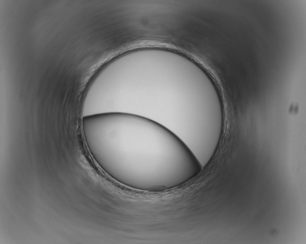 X0000111820015200907231036
