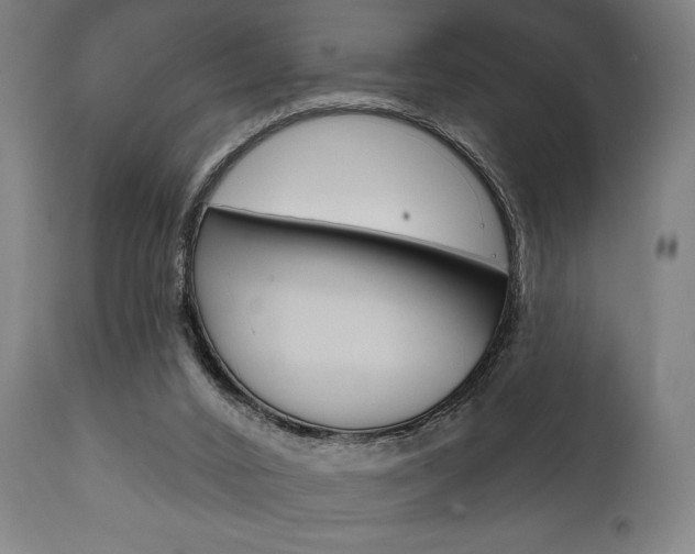 X0000111820016200907231036