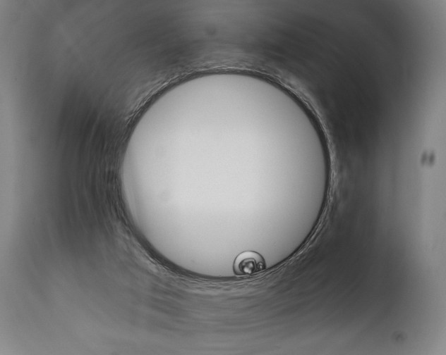 X0000111820017200907231036