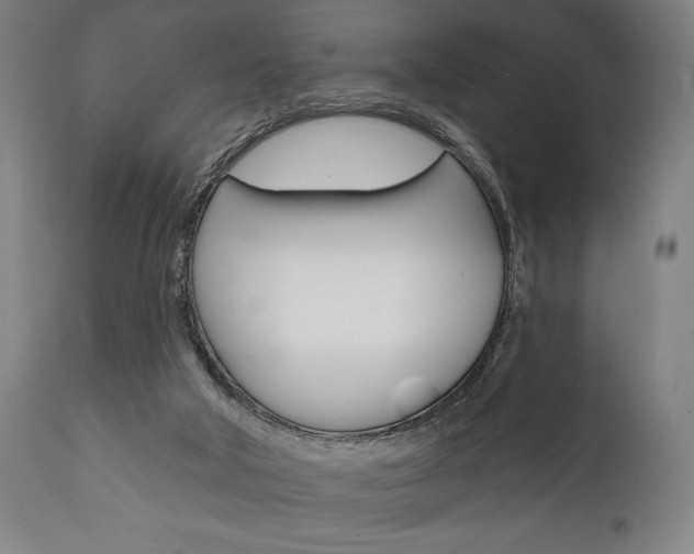 X0000111820018200907231036