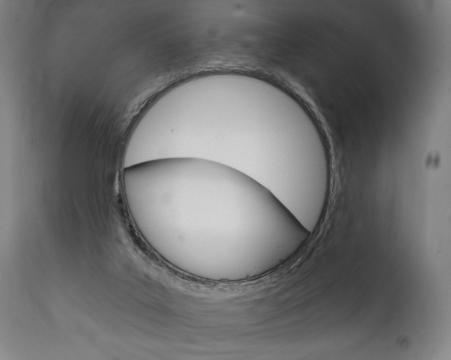 X0000111820019200907231036