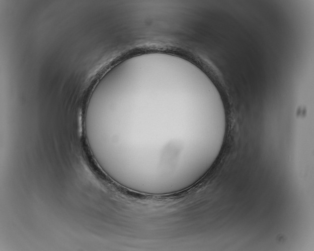 X0000111820020200907231035