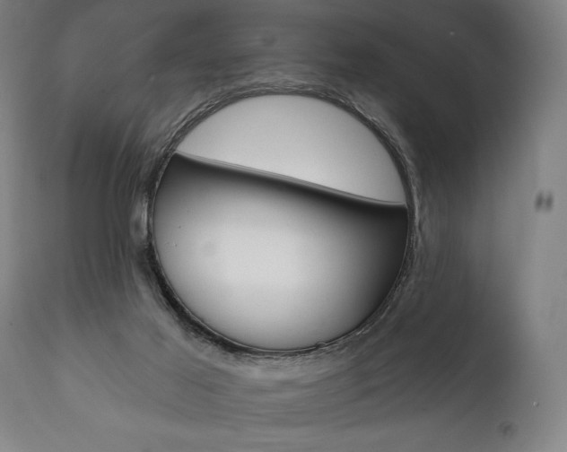 X0000111820021200907231035