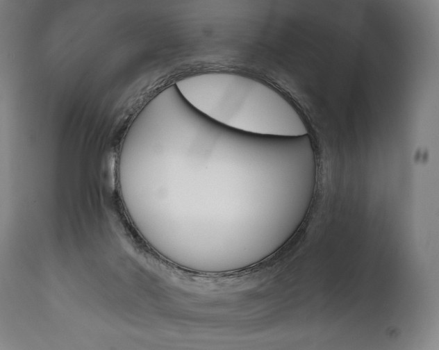 X0000111820022200907231035