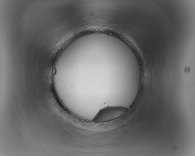 X0000111820023200907231035