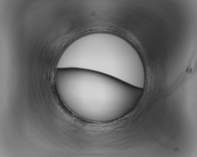 X0000111820025200907231035