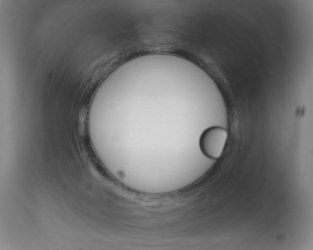 X0000111820026200907231035