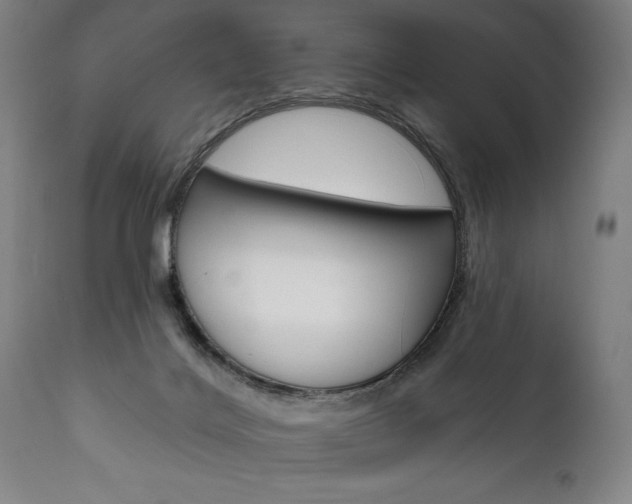 X0000111820028200907231035