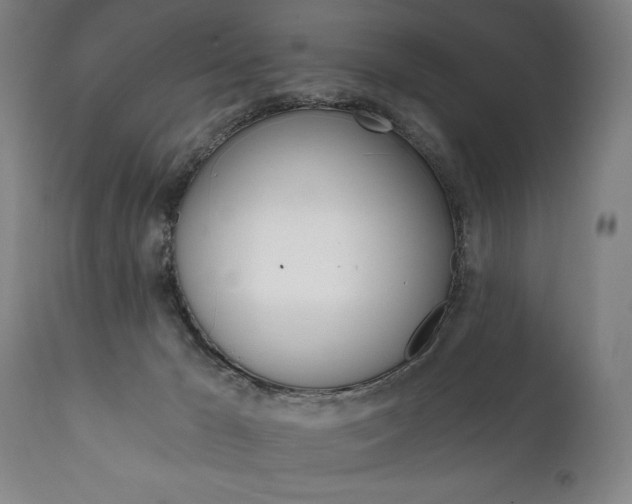 X0000111820029200907231035