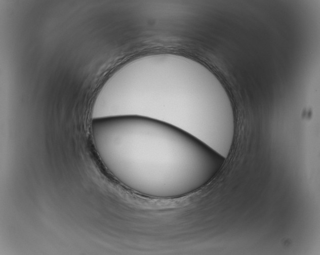 X0000111820031200907231035