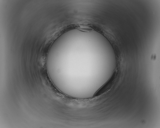 X0000111820033200907231035