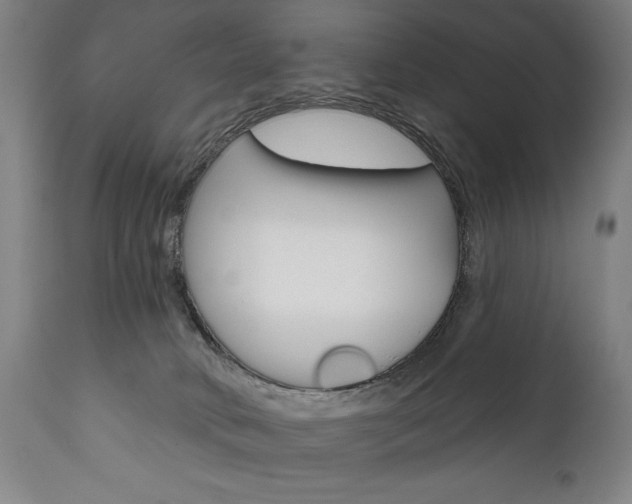 X0000111820034200907231035