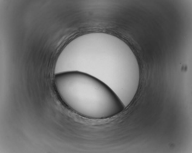 X0000111820035200907231035