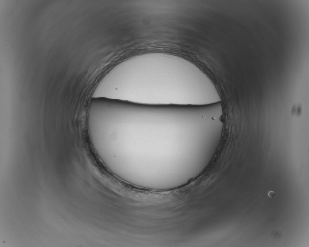 X0000111820036200907231035