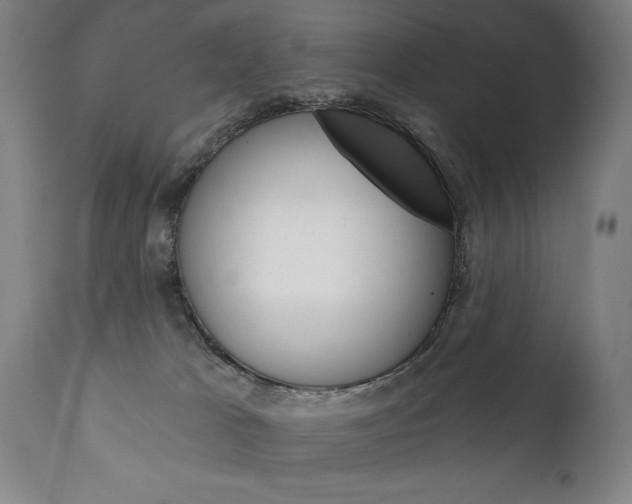 X0000111820037200907231035