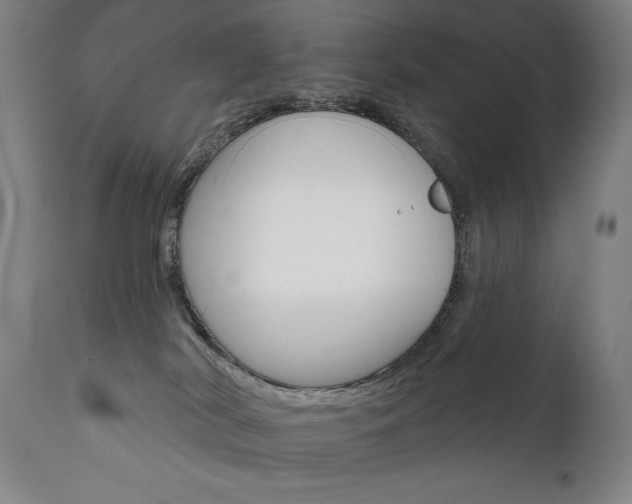 X0000111820038200907231035