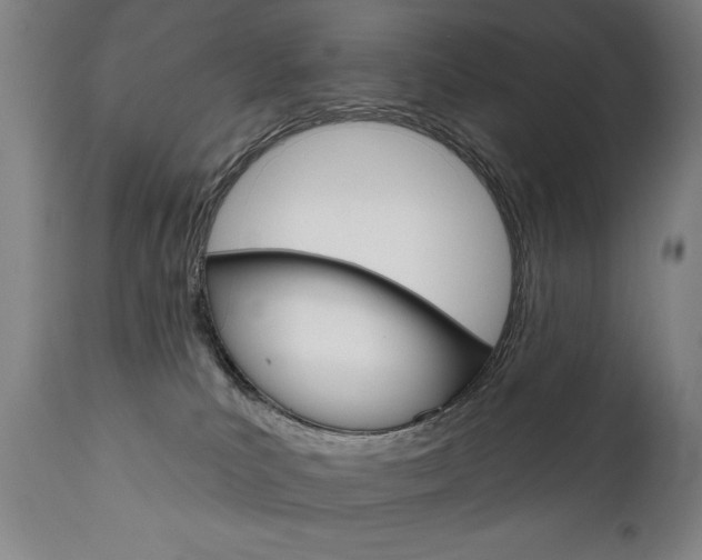 X0000111820039200907231035