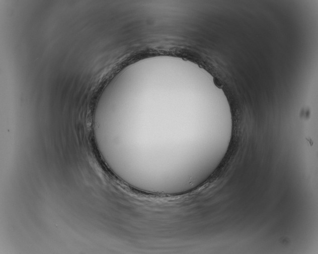 X0000111820040200907231035