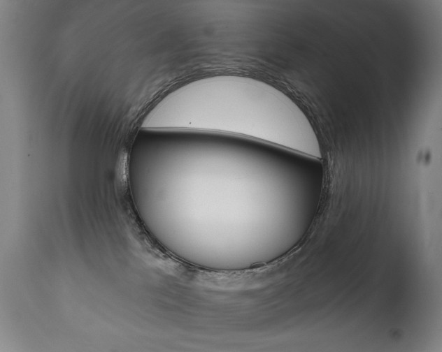 X0000111820041200907231035