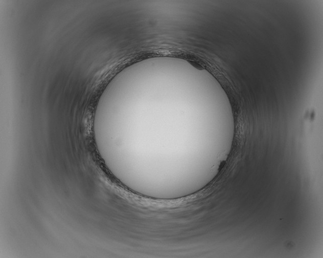 X0000111820043200907231035