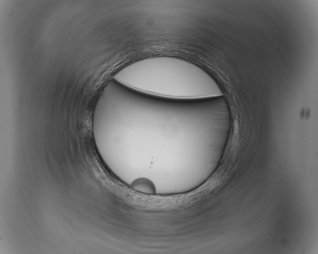 X0000111820048200907231035