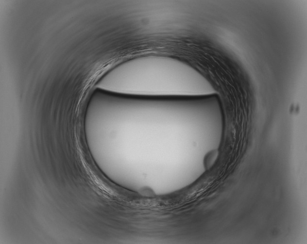 X0000111820049200907231034