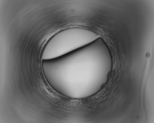 X0000111820050200907231034