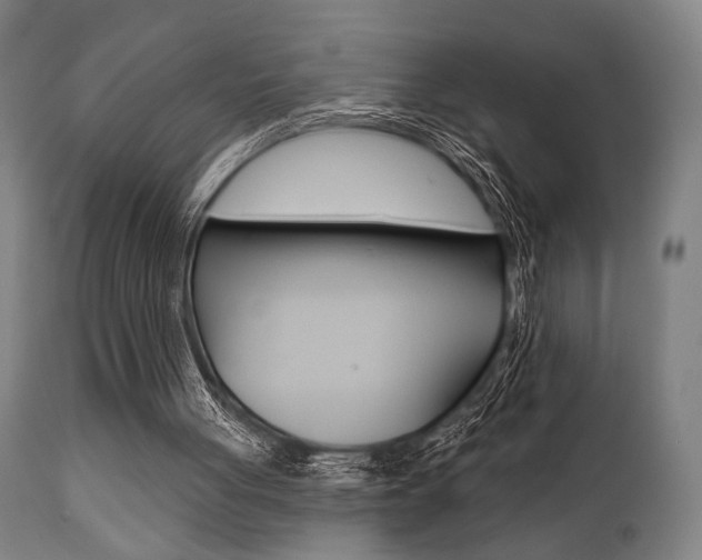 X0000111820051200907231034