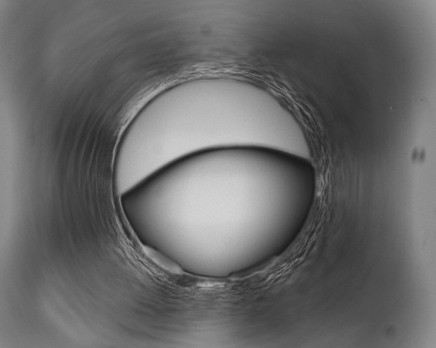 X0000111820052200907231034