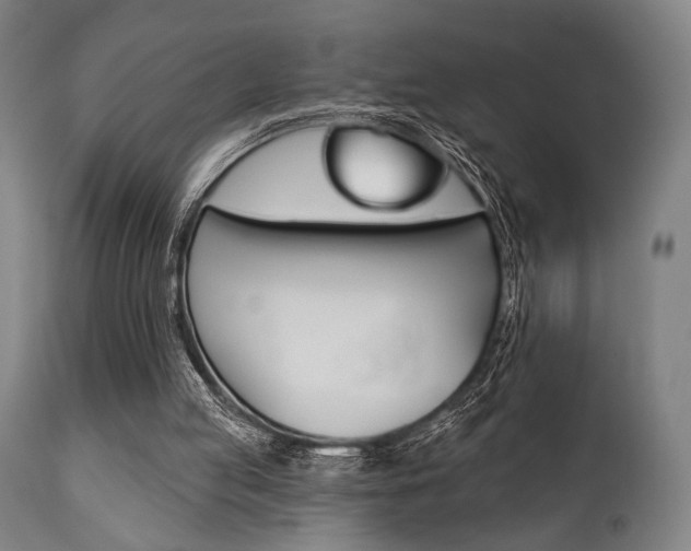X0000111820053200907231034