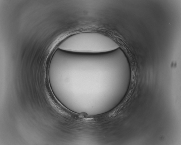 X0000111820054200907231034