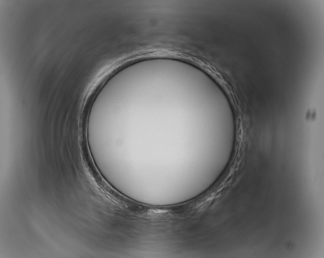 X0000111820055200907231034