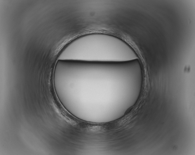 X0000111820058200907231034