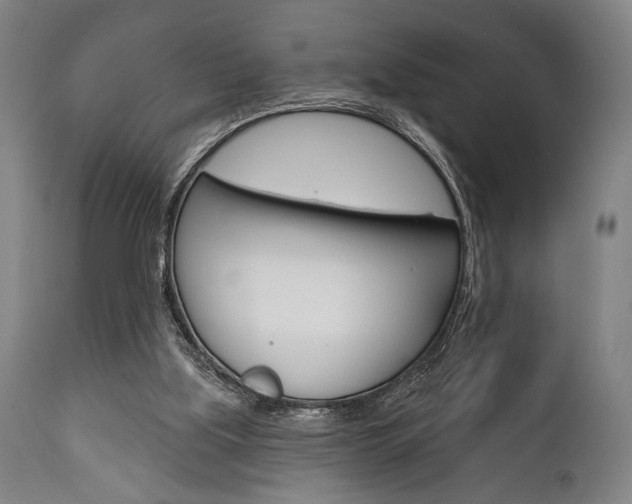 X0000111820059200907231034
