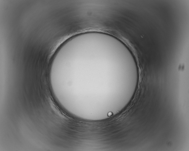 X0000111820060200907231034