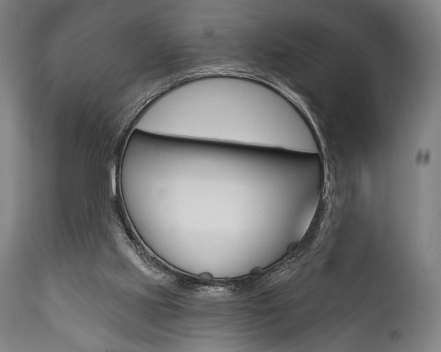 X0000111820061200907231034