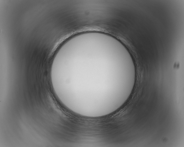 X0000111820064200907231034