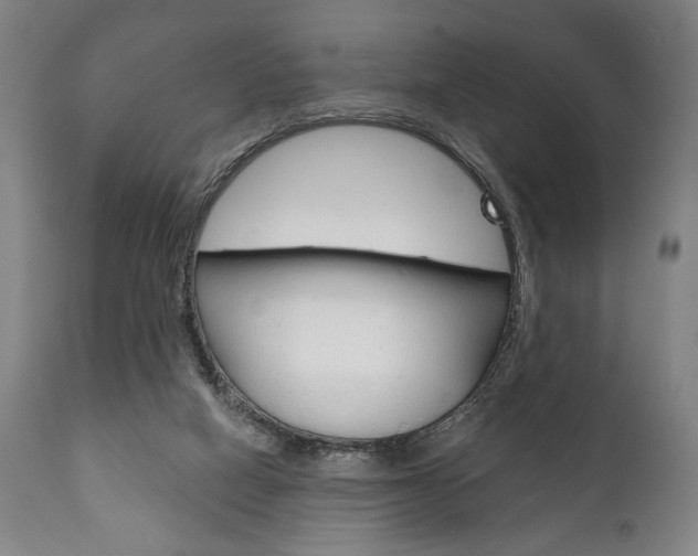 X0000111820066200907231035