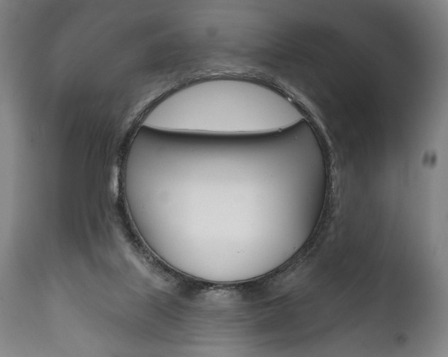 X0000111820067200907231035