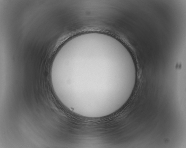 X0000111820068200907231035