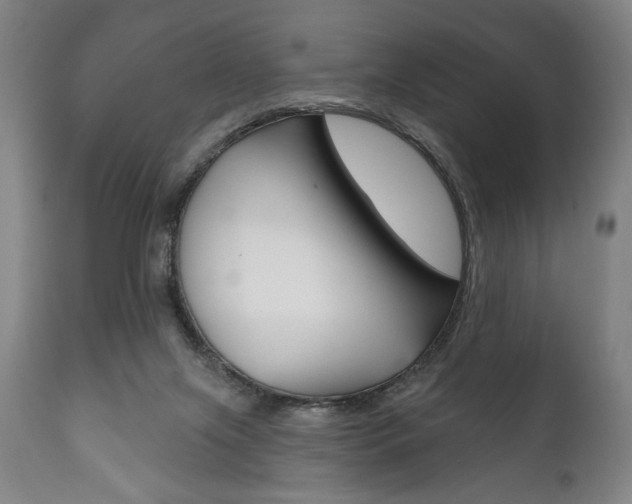 X0000111820071200907231035