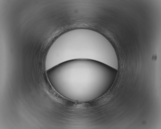X0000111820072200907231035