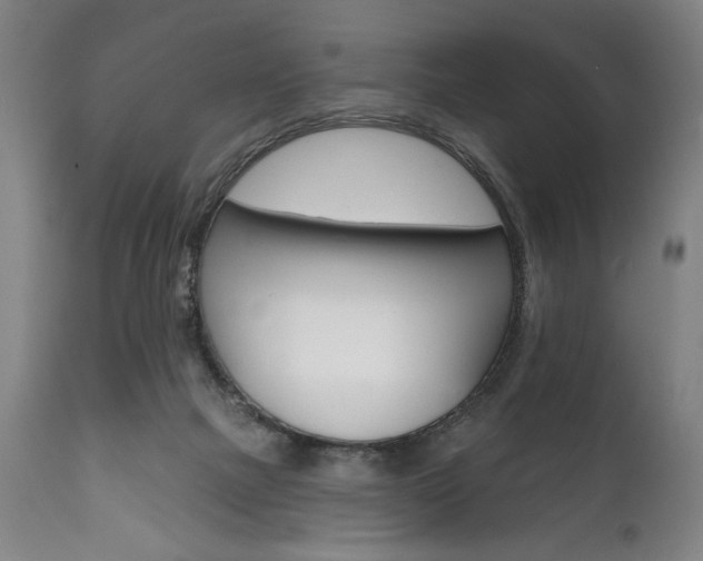 X0000111820073200907231035