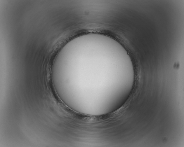 X0000111820074200907231035