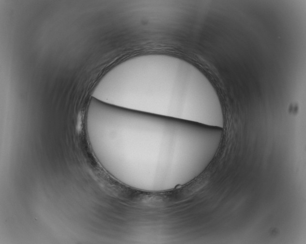 X0000111820075200907231035