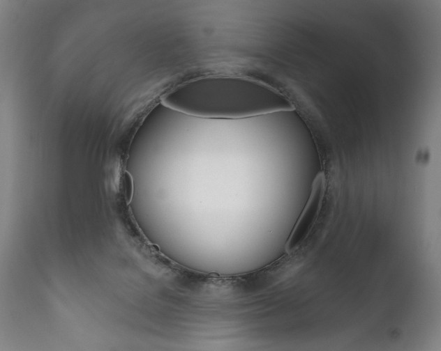 X0000111820076200907231035